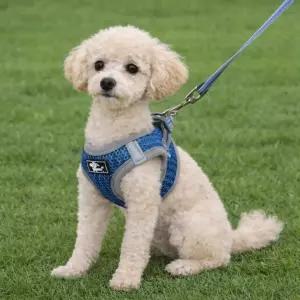 메쉬 스너글 하네스 리드줄 세트 산책 반려견 애견 강아지하네스