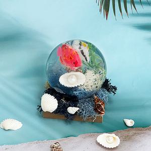 [오피스스쿨] 토단 모스가득 피쉬 워터볼 만들기 1인세트 DIY 모스소품 인테리어