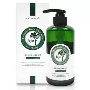 제주 녹나무 스칼프 샴푸 520g