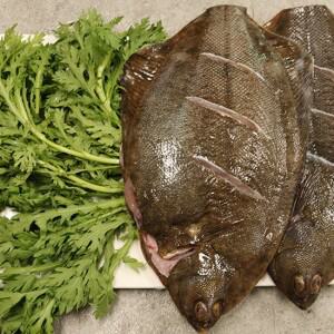 서천어부의 도다리 쑥 세트 800g 내외