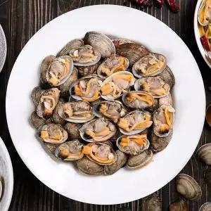 [오늘의바다] 남해안 문어바지락 1kg