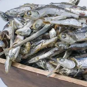 청정 남해안 육수용 멸치 국물용 다시멸치 3kg