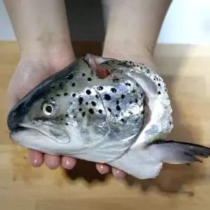 노르웨이 연어머리 1개