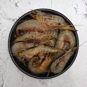 서해안 자연산 대하 1kg (대사이즈, 급냉) / 28~30미 내외