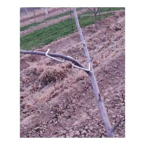 고정 지지대 과수 나뭇가지 나무가지 고추대클립 원예 묘목