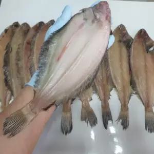 웰빙미래 국산 반건조물가자미대 기름가자미 반건조미주구리대 10마리 25~30cm내외 구이용 조림용 국산가자미