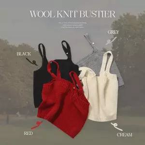 핫핑 [레이어드템][울함유] 팔레트 뷔스티에 울 니트조끼