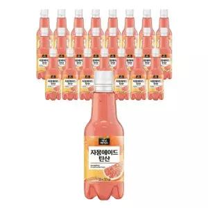 미닛메이드 자몽에이드 탄산 PET, 350ml, 24개