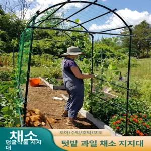 터널형 식물지지대 넝쿨 포도 지지대 아치 호박 장미 오이나무 덩쿨