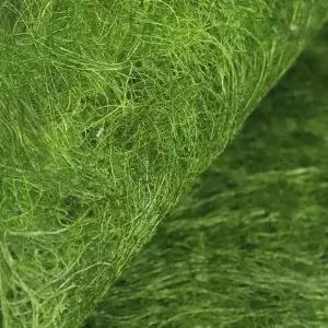 자연산 서산 바다의 향 일품 생 햇감태 10매 x 2봉