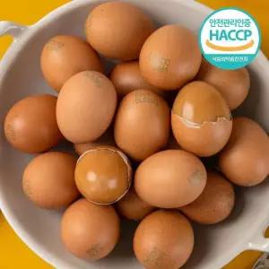 HACCP인증 쫄깃한 구운계란 구운란 90구 중란) +소금