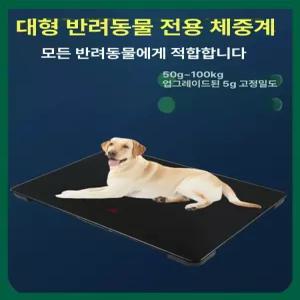 강아지 체중계 반려동물 고양이 측정 대형견 대형