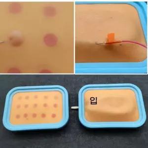 실습용 모형 피부 인체모형 연습 도구 정맥주사 키트