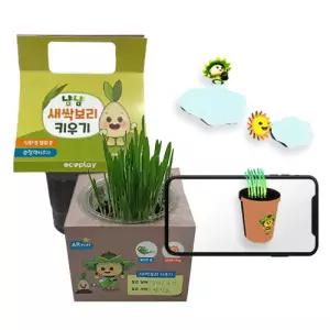 에코플레이 친환경 새싹보리 키우기 (활동 스티커, AR 증강현실 포함) 1009716