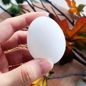 ( )모형 조류 알 부활달걀꾸미기 미니어처소품 부활절소품 부활절계란 부활절계란꾸미기 미니어쳐만들기 교