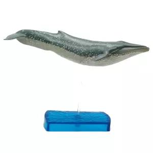 대형 상어 모형 바튼 전시 죠스 메갈로돈 피규어