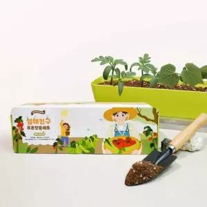 [골드스마일]식물 키우기 세트 방울토마토 오이 미니 텃밭 재배