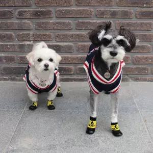 강아지 방수 양말 겸 신발/3color 애견 소형견 산책용 INe3+6lgc