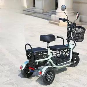 전기자전거 어르신 2인 소형 가정용 스쿠터 보행보조기  접이식 보행도움