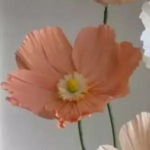 자이언트 종이꽃 조경 대형 플라워 인테리어 페이퍼 소품 카네이션 왕꽃포토존