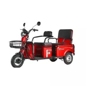 마실나들이 전기오토바이 전동스쿠터 바이크 삼륜 세발 노인 어르신 삼발이 카트 출퇴근