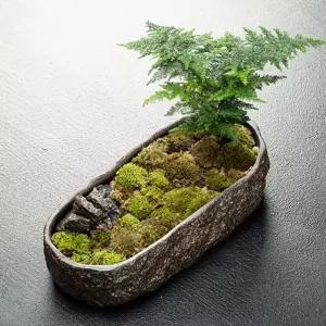 물확 연꽃 어항 돌수반 연못 자연석 실내 인테리어 옹기 사각 수반