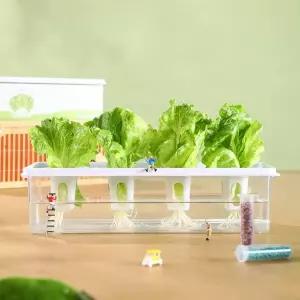 가정용 수경재배기 방울토마토 재배 콩나물 키우기 상추