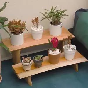 [셀러에이드]통원목 선반 거실화분 원목 화분 스탠드 진열대 다육