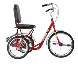 성인 등받이 마실 중년 세발 자전거 시골 노인