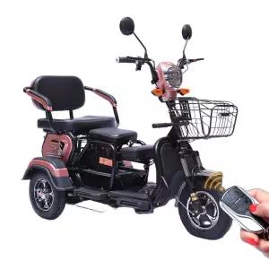 전동 어르신 실버카 삼륜자전거 전기차 출퇴근