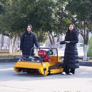 맞춤형 4행정 단기통 예초기: 가스 구동 원격 제어 자주식 EPA/CE 인증.