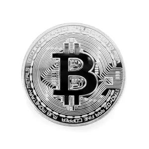 모형 비트코인 기념주화 실버