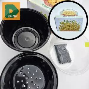 교육용 수경재배 8p 키트 원예 콩 교재 체험 과학 실험 실험용 콩나물 키우기 기르기 자연 관찰 어린이