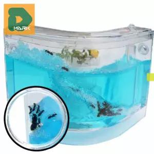 자연학습용 개미집 과학 학습 학습 사육장 개미키우기 ㄱ자형 곤충 어린이 교구 생태 관찰하우스 집 키트