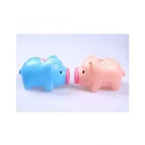 매장정품 더블유쇼핑 돼지 저금통 중 2p 잔돈 비상금 금고 모금통 동전 돼지저금통 비밀금고 24205730 1840