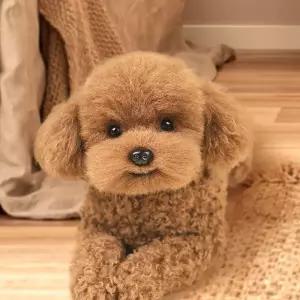 푸들 인형 진짜같은 리얼 애견 소품 실물 강아지 푸들인형