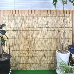 150X180 카페 매장 여름문발 천연갈대발 5자 가리개 한옥커튼 1층사생활보호 햇빛막이