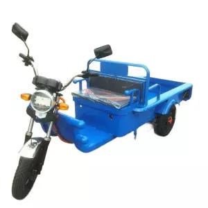 소형 삼륜전동차 농업용 세발 운반 트라이크 배송 이동차량 전기카트 농촌 작업용