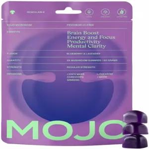 사자 갈기 파낙스 인삼 생강 뿌리 동충하초 뇌 보충제 기억/집중 지원 누트로픽 버섯 구미 블루베리 라벤더