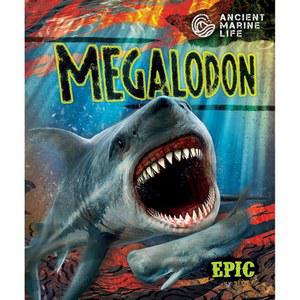 메갈로돈 (고대 해양 생물)