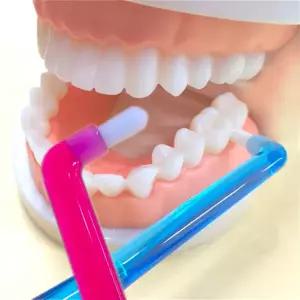 SNG 어금니칫솔 앤드터프트 첨단칫솔 교정용 치과용 (휴대용케이스 포함) 치석제거