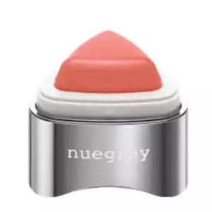 누그레이 세모탭 발색 생기 웜톤 립앤 치크 토마토탭