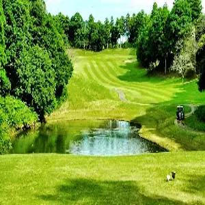 [대구출발] 나리타 골프 4일  #골프텔 #나리타노모리CC #총63홀 #나리타노모리골프텔 #석식연회식+노미호다이 #2인출발가능[추가요금]