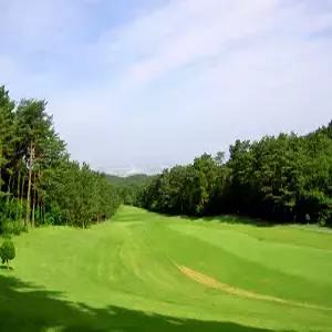 요나고 골프 3일 #다색골프 #18홀*2회 #다이센하겐/다이센아크/그린파크CC #후요벳칸[부용별관] #조/석식포함 #2인출발가능