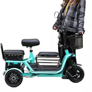 성인용 어르신 전동차 전기 3륜 오토바이 삼륜 스쿠터