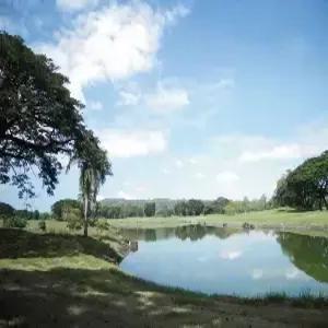 [VIP]클락 골프 5일 #다색골프 #18홀*3회 #초특급_메리어트호텔 #한 리저브/미모사/썬밸리CC #3대명문CLUB #미샌딩포함 #스낵BOX 제공 #수화물 20KG특전