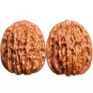 악력 고광택 호두 손마디 지압 마사지 사좌루 손바닥 깐