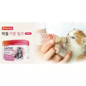 비어파 락톨(고양이분유 250g) 키튼 종합영양 *온라인최저가*