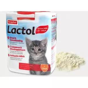 비어파 락톨(고양이 분유,종합영양) 키튼 500g *온라인최저가*