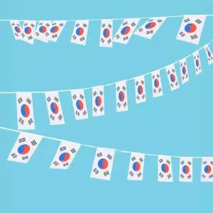 만국기 태극기 (15m 50장) 놀이동산 파티 기념일 행사 삼일절 현충일 광복절